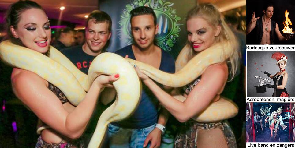 Burlesque slangen shows